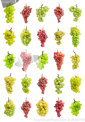 Image of Grapes