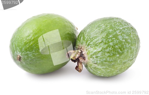 Image of Feijoa fruit