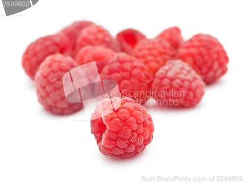 Image of Fresh raspberries