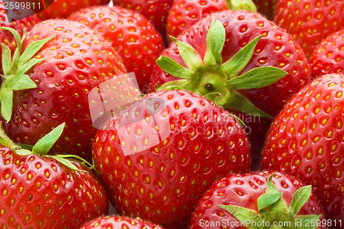 Image of Strawberries