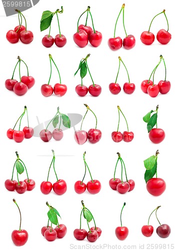 Image of Cherry