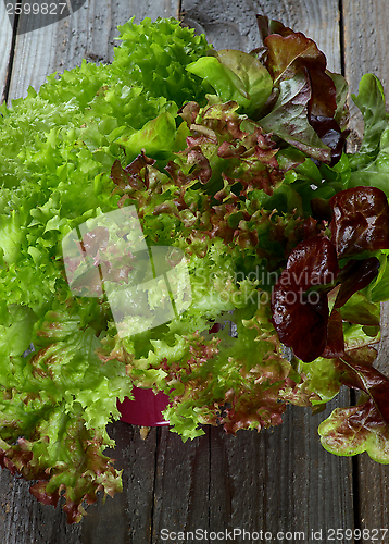 Image of Mixed Lettuce