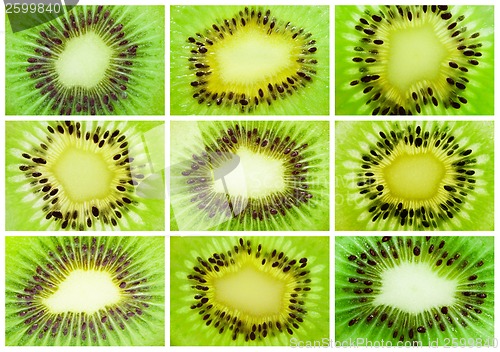 Image of Kiwi