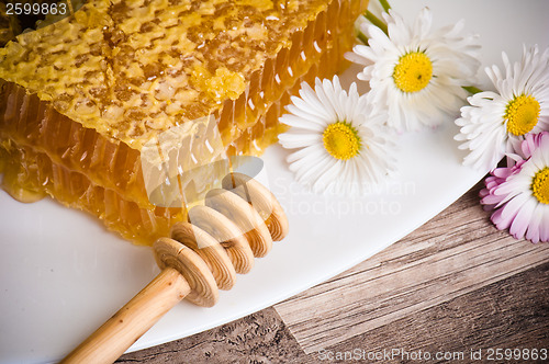 Image of honeycomb with daisies on white plate 