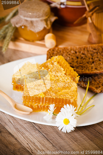 Image of honeycomb with daisies on white plate 