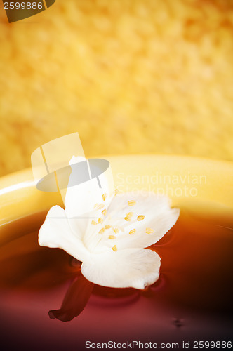 Image of Cup of tea with a flower of a jasmin and honey