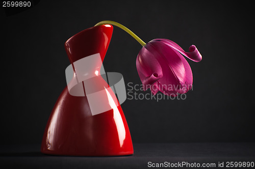 Image of pink tulips in a vase on a black background 