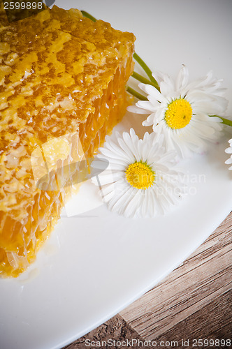 Image of honeycomb with daisies on white plate 