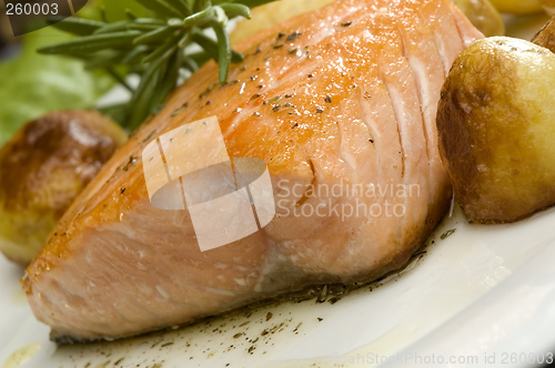 Image of salmon