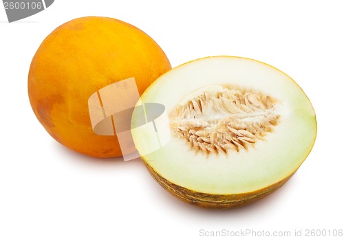 Image of Melon