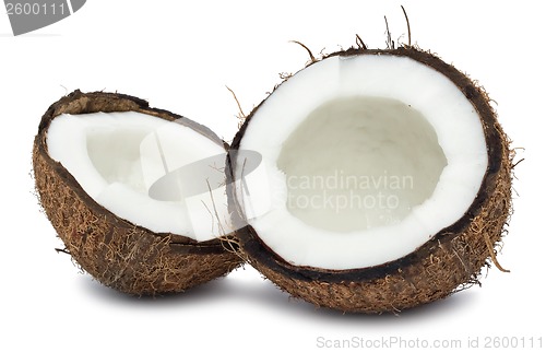 Image of Coconut