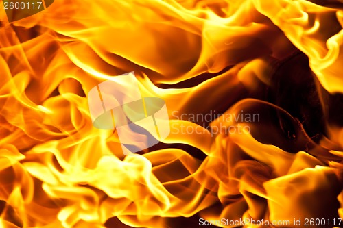 Image of Fire