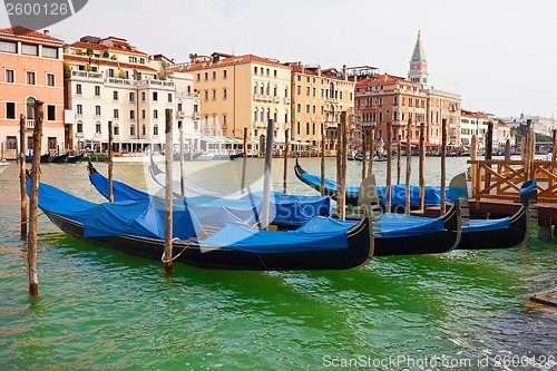 Image of Gondolas in Venice