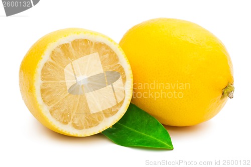 Image of Lemon