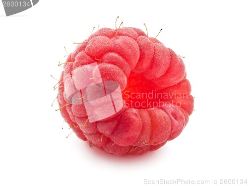 Image of Fresh raspberry
