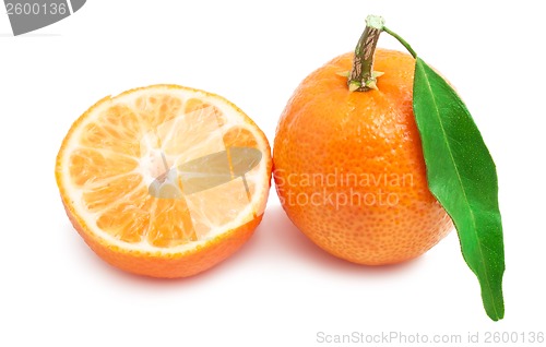 Image of Tangerines