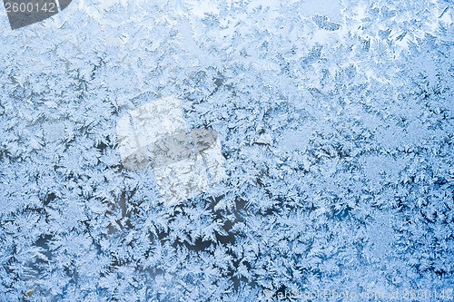 Image of Frost pattern
