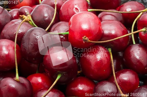 Image of Red cherry