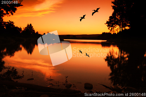 Image of Sunset Silhouette