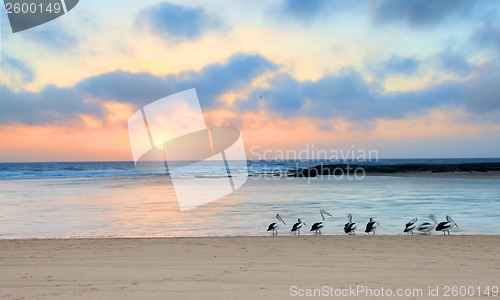 Image of Sunrise at The Entrance North,  Australia