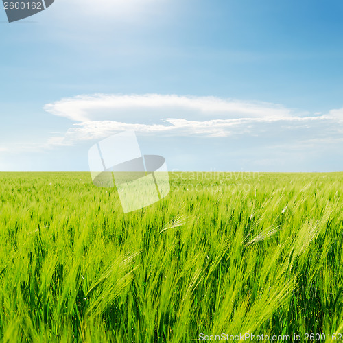 Image of green field and blue cloudy sky