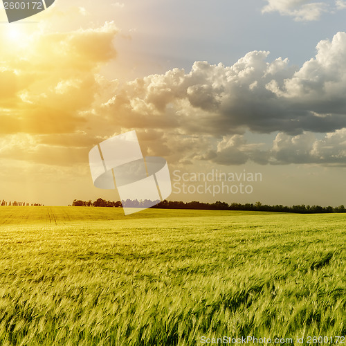 Image of sunset over green field