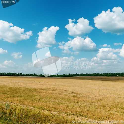 Image of agriculture field after harvesting and clouds over it