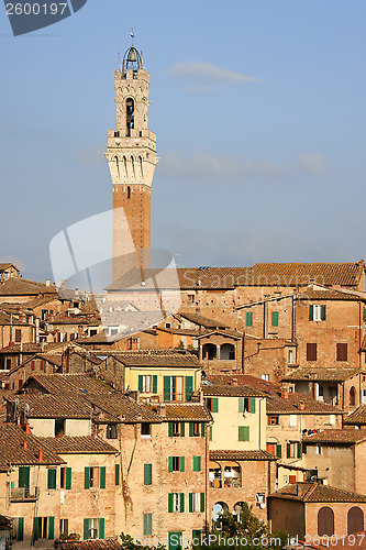 Image of Siena in the sunset light