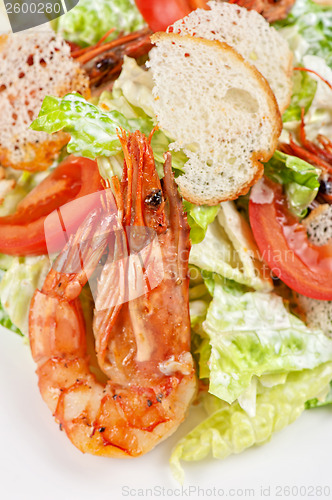 Image of Tasty shrimp salad