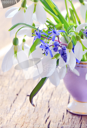 Image of snowdrops in a vase