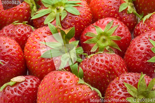 Image of Strawberries