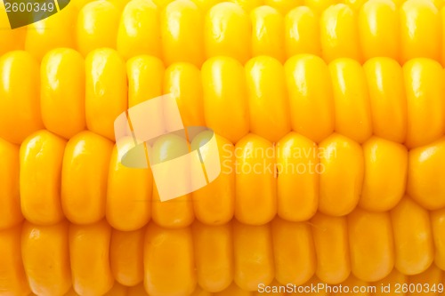 Image of Corn