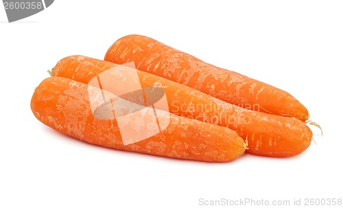 Image of Carrot