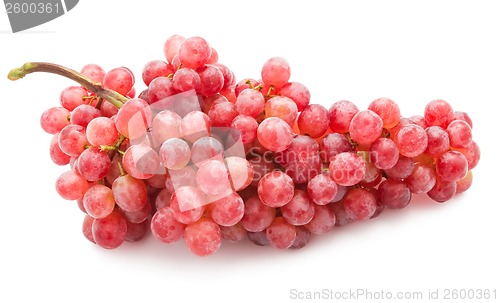 Image of Grapes