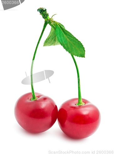 Image of Red cherry