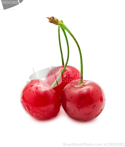 Image of Red cherry
