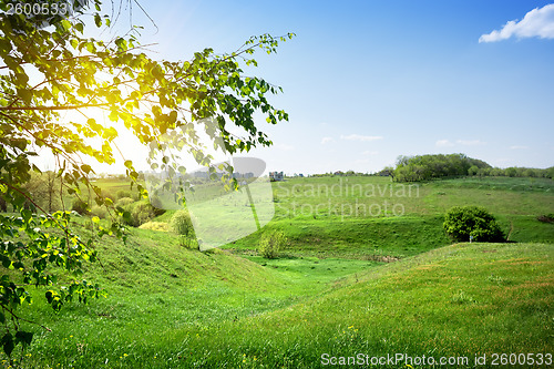 Image of Suburban landscape