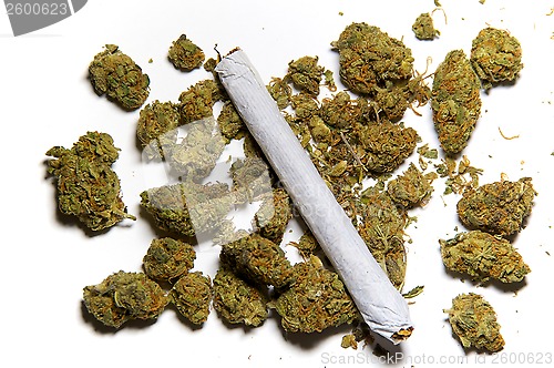 Image of close up of medicinal marijuana and a joint