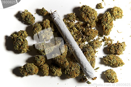 Image of close up of pot buds and a joint