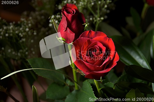 Image of Deep red roses with baby breath