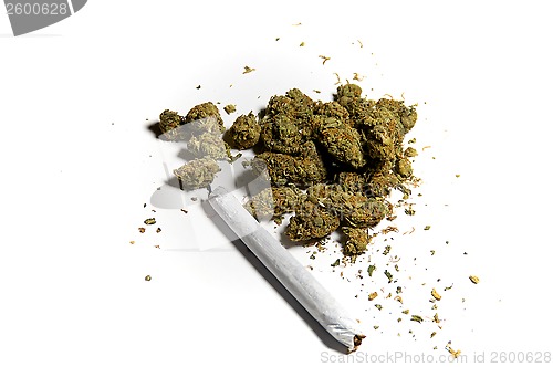 Image of medicinal marijuana and joint