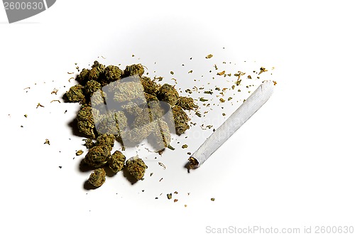 Image of medicinal marijuana