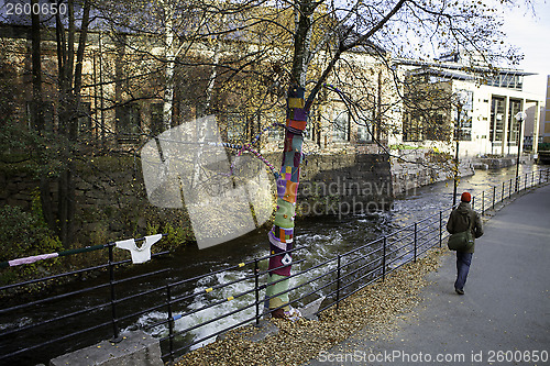 Image of Birch with Knitting on it