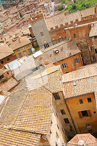 Image of Siena downtown roofs