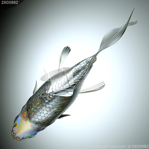 Image of Top view of glass fish over grey