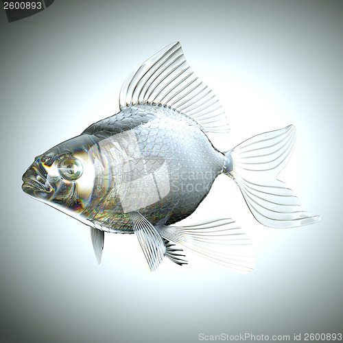 Image of Glassy fish with scales and fins