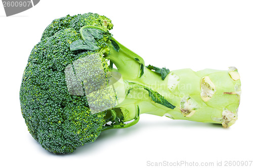 Image of Broccoli