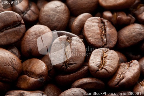 Image of Coffee beans