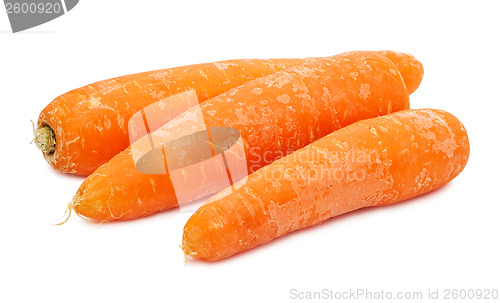 Image of Carrot
