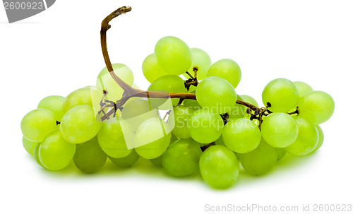 Image of Grapes
